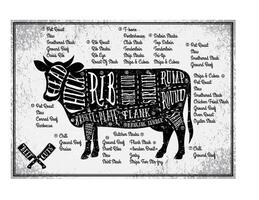 Diagram of beef cuts for cooking vector