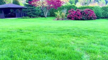 This features a lush green lawn with colorful flowers and arranged bushes, enhanced by majestic trees and a charming gazebo, inviting peaceful moments video