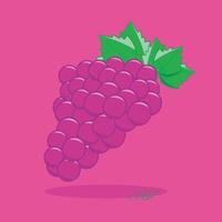 Grape Fruit Fruit Set Fresh and Colorful Fruit Illustrations vector