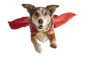 Super dog soars in flight png