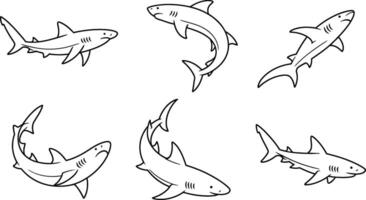 Set of six shark illustrations isolated on white background editable stroke vector