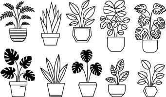 Collection of potted house plants in minimalist line art style design vector