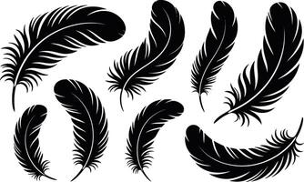 Elegant black feathers collection isolated on white background in style vector