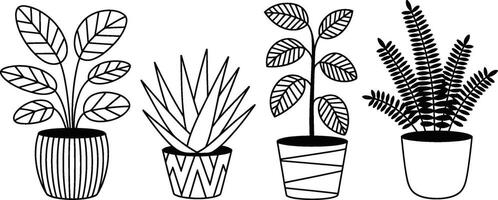 Minimalist line art illustration of potted plants for interior design concepts vector