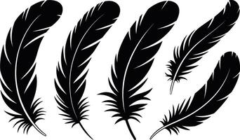 Black feather collection isolated on white background decorative elements silhouette set vector