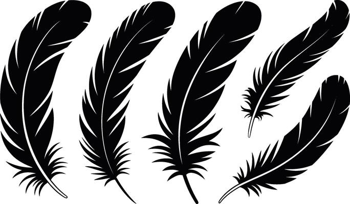 Black feather collection isolated on white background decorative elements silhouette set