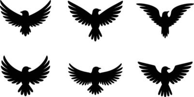 Set of isolated bird silhouettes with various wing positions and black color vector