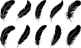 Collection of black feather silhouettes on white background perfect for design projects vector