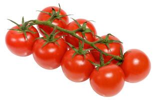 Fresh cherry tomatoes on the vine, isolated background. Juicy red tomatoes with green stems, perfect for salads photo