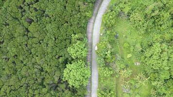 Aerial view of Mangrove forest with wood walkway at Bali District of New Taipei City, Taiwan video