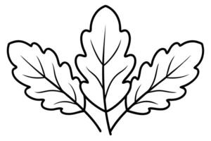 Serene Black and White Drawing of Three Oak Leaves, Simple Nature Illustration, Peaceful Botanical Artwork, Elegant Line Art Design vector