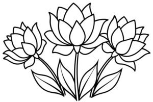 Serene Black and White Line Drawing of Three Elegant Lotus Flowers in Full Bloom - Professional digital artwork with vibrant colors and detailed composition vector