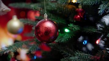 Curious Cat Exploring Sparkling Red Ornament on Lush Christmas Tree with Festive Lights in Cozy Holiday Setting video
