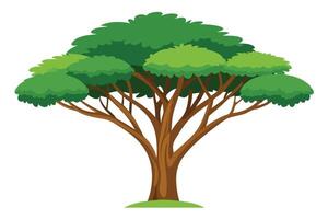 Lush Green Umbrella Acacia Tree Standing Tall Against a White Background, Illustrating Serene Nature - Professional digital artwork with vibrant colors and detailed composition vector