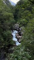 A large waterfall in the wild flows with a strong stream through lush green forest thickets video