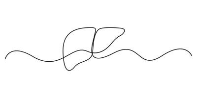 Continuous line drawing of human liver organs. One single line of liver drawing. Graphic illustration of liver anatomy concept. Pro illustration vector