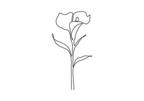 Calla lily single line art graphic illustration vector