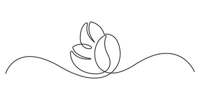Coffee bean continuous single line art graphic illustration vector