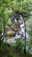 A waterfall lost in dense forests cascading over beautiful rocks on a sunny day video