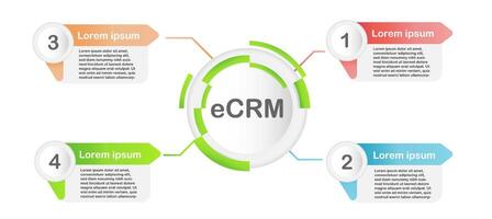 infographic eCRM Explained Understanding Customer Relationship Management Processes vector