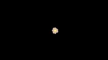 Particle Explosion Animation on Black Background with Radial Motion and Light Effect for Visual Element and Graphic Overlay video