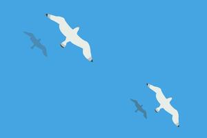 Two seagulls soar over the surface of the sea or ocean. Shadows of the birds are reflected in the water. vector