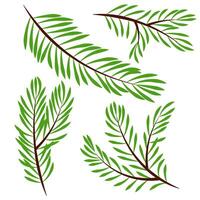 Set of different flat Christmas tree branches vector