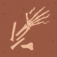 Human hand bones. Archaeological find. Historical value. Image for books, articles, posters, archeology, history of past, excavations presentations. vector