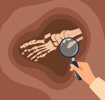 Hand holding magnifying glass over skeleton vector