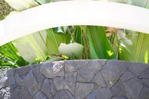 A corner of a building with stone walls and banana plants as garden decoration during the day photo