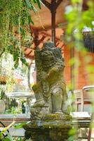 A stone barong statue which is typical of the island of Bali in a building area with hanging plants photo