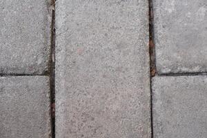 Background of grey paving blocks with lines photo
