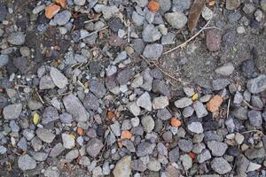Background of grey gravel stones in various shapes photo