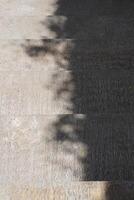 Shadows of tree leaves on a cement staircase during the day in potrait mode photo