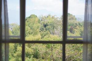 View of trees and clear sky seen from inside the window during the day photo