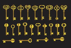 golden keys set black background vector