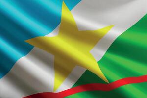 Roraima flag waving in the wind. State of Brazil vector