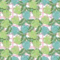 Tropical leaves and palm trees on pink and green background vector