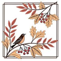 Autumn bird on branch with berries illustration vector