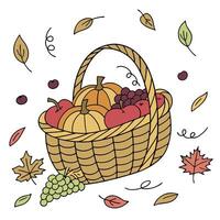 A basket full of apples and grapes vector