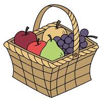 A basket full of fruit on a white background vector