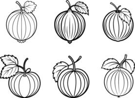 Set of gooseberry sketch engraving drawing illustration on black and white. vector