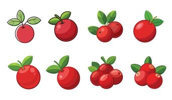 A set of red berries with leaves and leaves vector