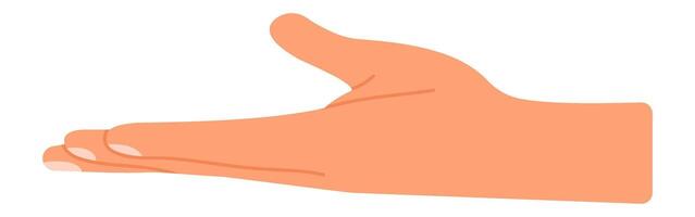 Open hand reaching out, expressing a gesture of asking, giving, or receiving, featuring an isolated illustration set against a clean white background vector