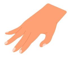 Open hand with visible nails reaching down to pick up a small object, showcasing delicate fingers in a careful and gentle movement against a clean white background vector