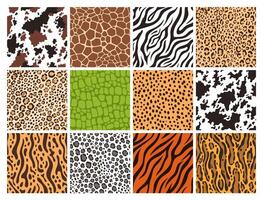 Animal skin seamless patterns. Leather textures of giraffe, zebra, wild leopard, jungle jaguar, crocodile, cheetah fur and tiger skins backgrounds set vector