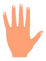 Cartoon open hand displaying five fingers against a white background, symbolizing the number five for counting, voting, greeting, or expressing communication gestures vector