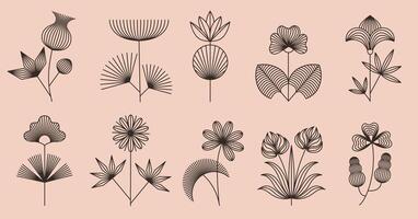 Linear boho flowers. Floral line art, bohemian style blooming plants with geometric flower and leaves. Abstract botanical isolated illustrations set with editable stroke path vector