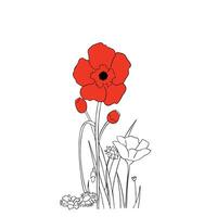 poppy flower on a white background vector
