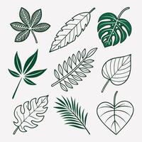 Icon Set of Nine Diverse Green Leaves Botanical Illustrations Outline and Filled Styles vector